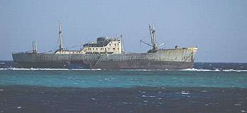 The Loullia ship wreck on Gordon reef, 1998